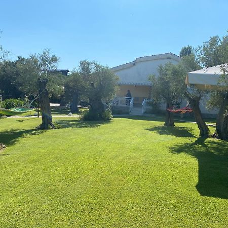 Terry'S Villa Nea Nea Makri Zewnętrze zdjęcie