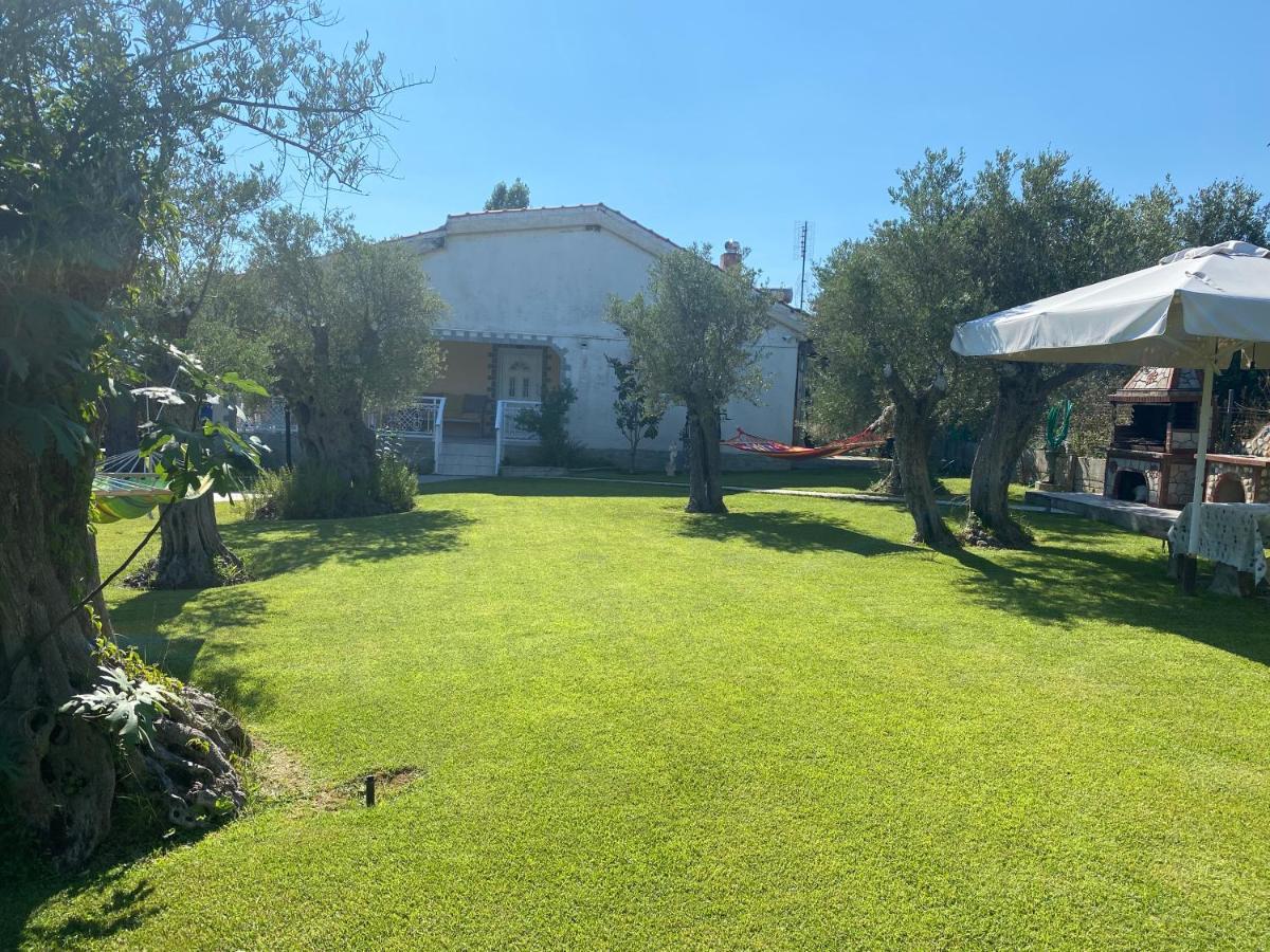 Terry'S Villa Nea Nea Makri Zewnętrze zdjęcie